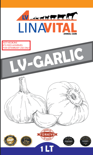 LV Garlic