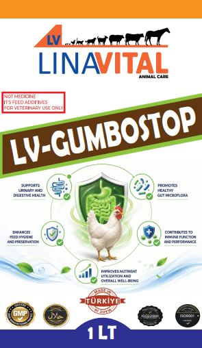 LV Gumbostop