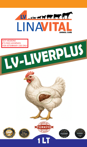LV Liverplus