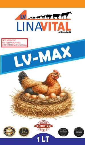 LV Max