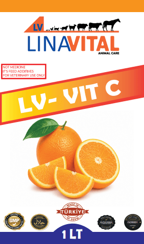 LV Vit C 1LT